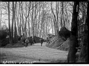 Soldats au bivouac au Bois d’Ailly
